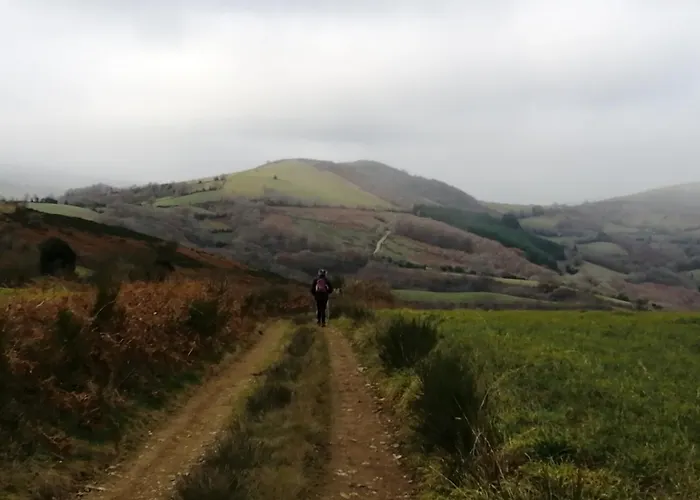 Le De L'adrech Lacaune