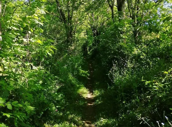 Le De L'adrech アパート *